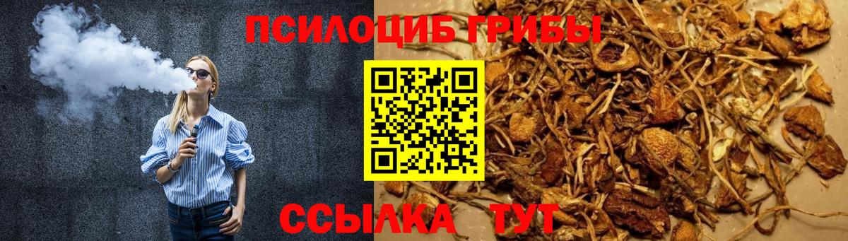 Псилоцибиновые грибы GOLDEN TEACHER  Вход с VPN  Ковров 